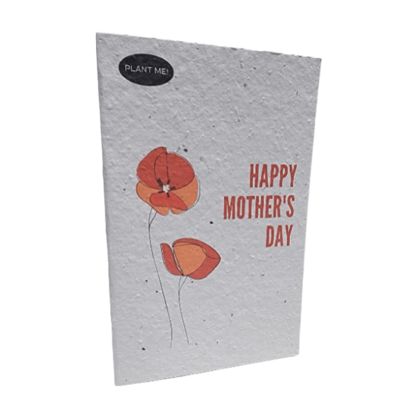 Plantable Greeting Cards