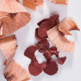 Elate Lip Colour Pencil - Roots Refillery