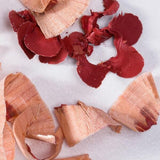 Elate Lip Colour Pencil - Roots Refillery