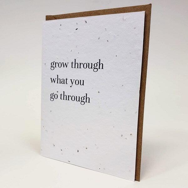 Plantable Greeting Cards - Roots Refillery