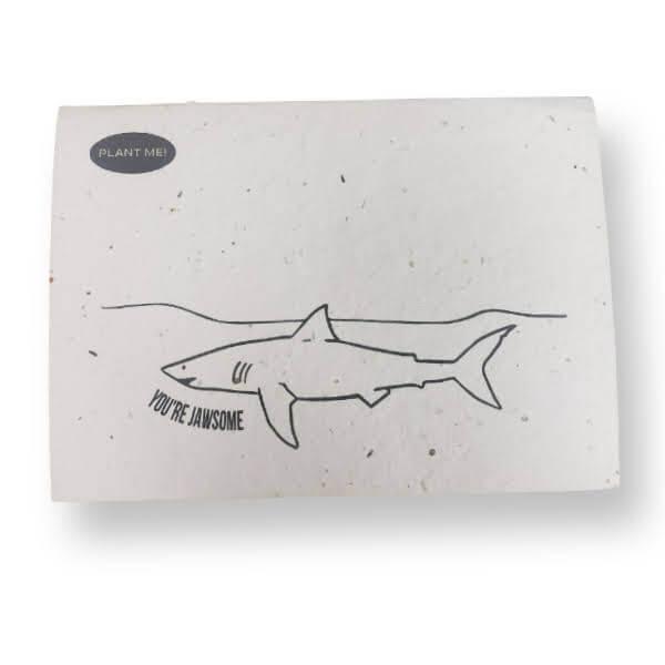 Plantable Greeting Cards - Roots Refillery