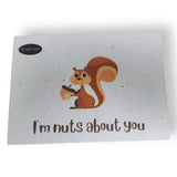 Plantable Greeting Cards - Roots Refillery