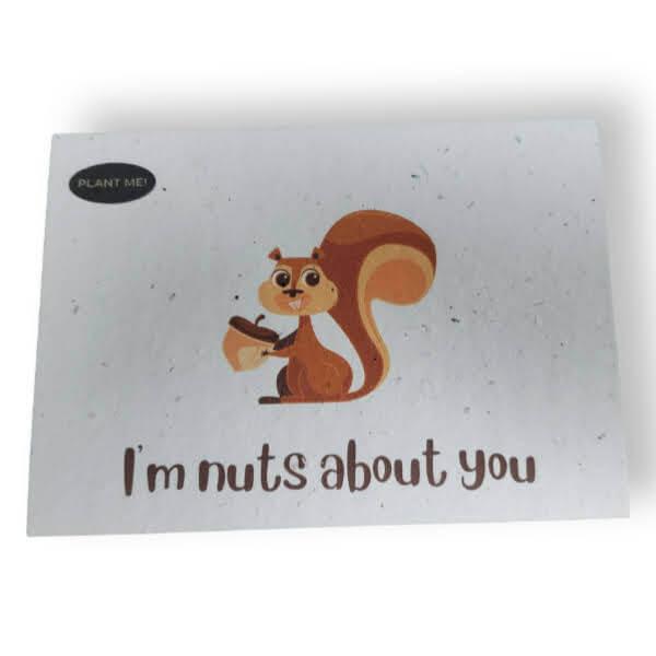 Plantable Greeting Cards - Roots Refillery