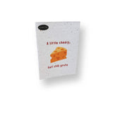 Plantable Greeting Cards - Roots Refillery