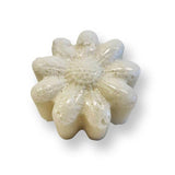 Toilet Bombs - Roots Refillery